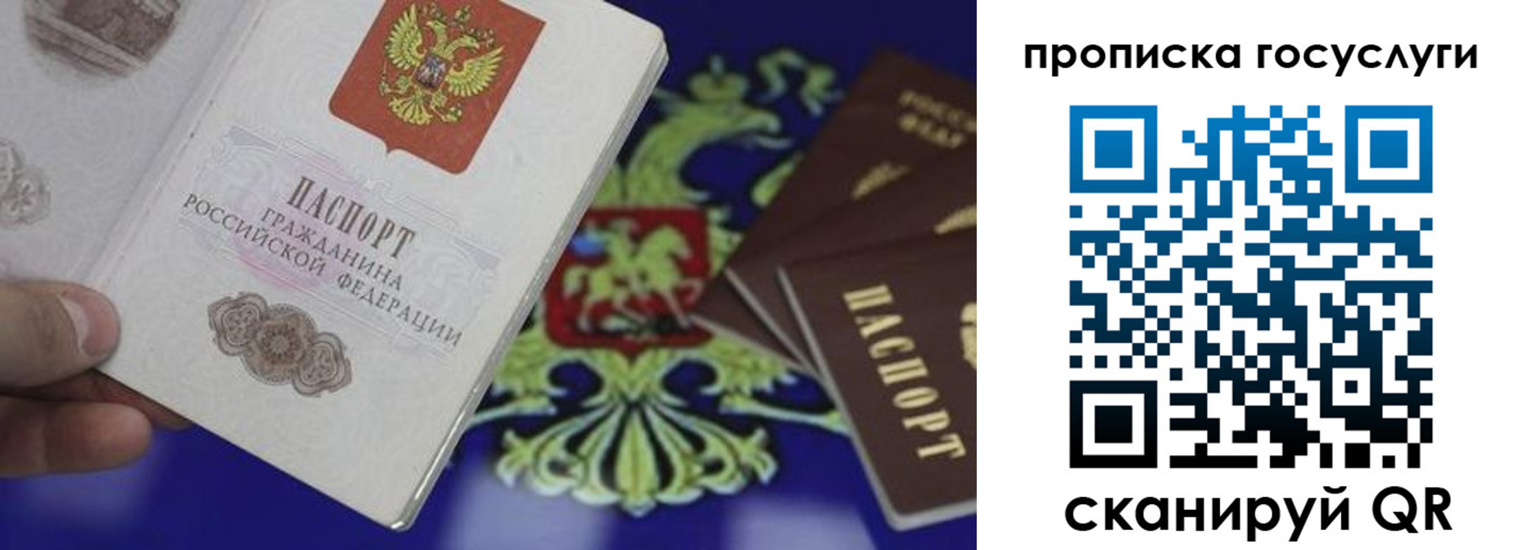 прописка для школы в Льгове